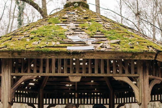 Lichterman Nature Center 2