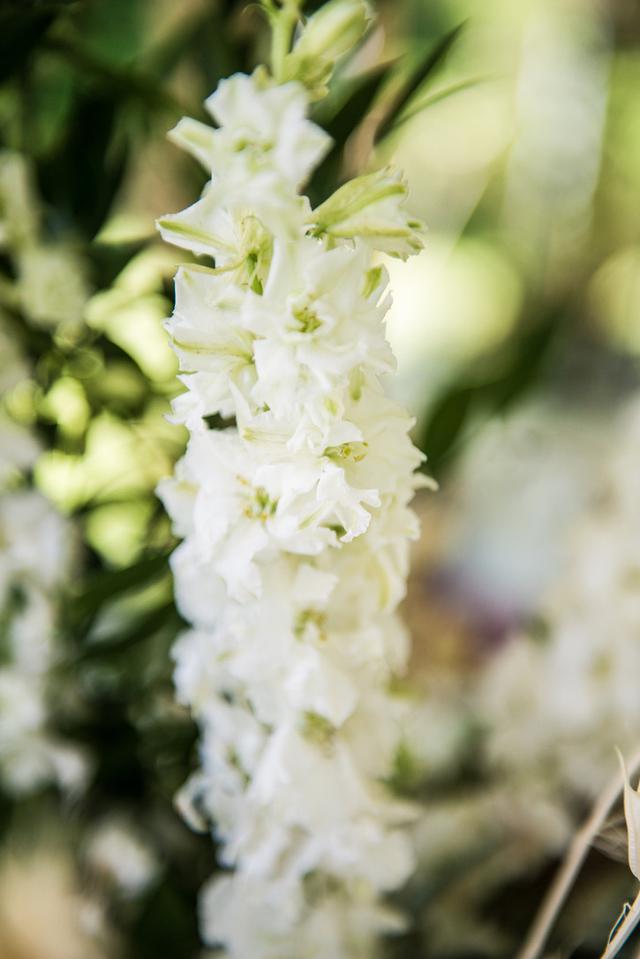 Everwood Flowers - 2