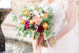 Seven Stems Design - 6