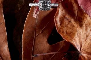 Reiman Photography - 43