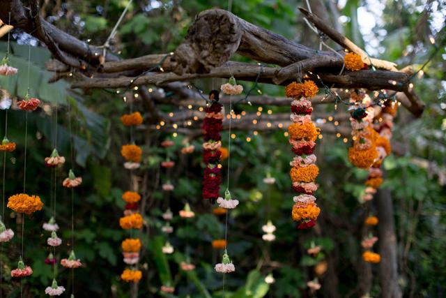 Big Sur Flowers - 4