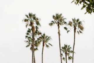 I Do...Weddings & Events - 35