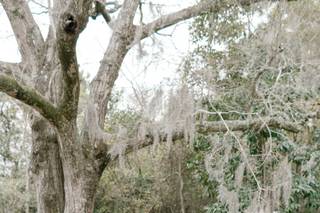 Alexia's Bridal Boutique - 21
