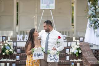 Mansi Studios - 34