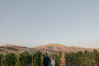 Zaca Mesa Winery - 25