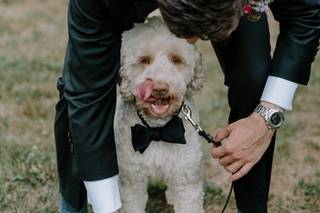 Two of Us Wedding Photography - 7