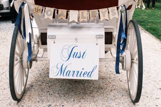 Carolina Horse and Carriage - 5