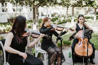 Bellarosa String Quartet - 10