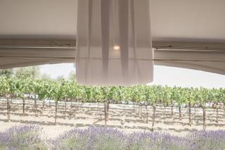 Leal Vineyards - 38