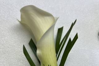 Jax Design Inc. - 21