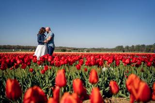 Shilliday Photography - 11