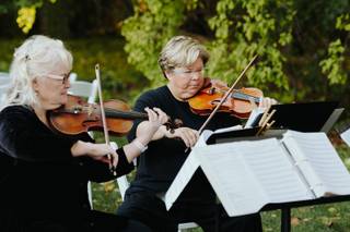 The Birchwood String Quartet - 1