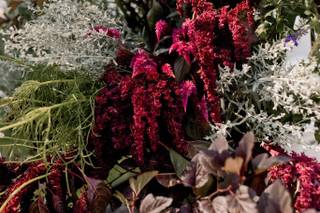North Haven Island Florals - 9
