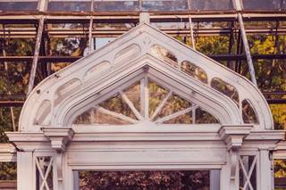 Laurel Tree Photography - 15