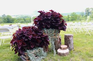 Cedar Circle Farm - 45