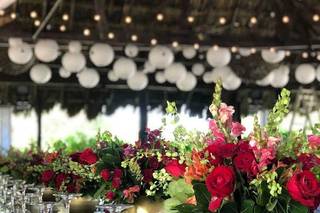 Blue Venado Beach Weddings - 95