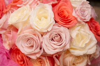 Bucks County Roses - 63