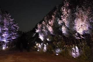 Duluth Event Lighting - 6