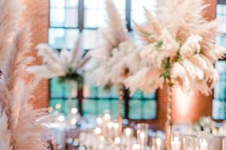 Havard Events - 15
