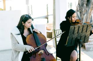Jade Strings - 20