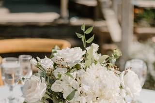 Lovely Peonies - 87
