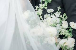 Cassidy Alane Photography - 8