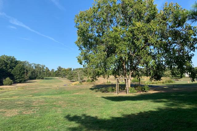 Ed Oliver Golf Club 2