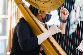 Sonja Westberg, harpist - 5