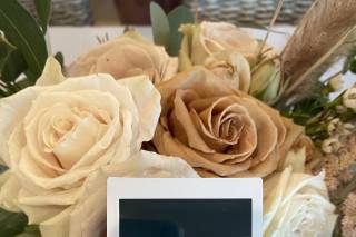 Exquisite Weddings & Events - 46