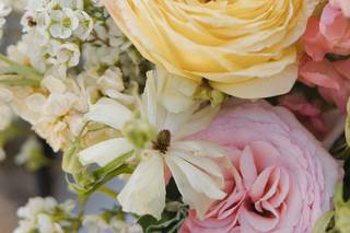 In Full Bloom - 17