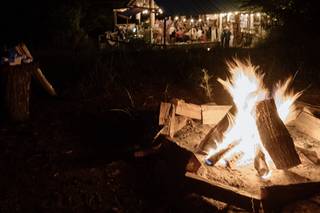 Hawk & Hawthorne - 14