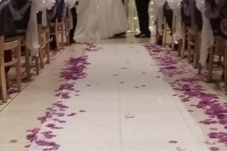 Antonelli Event Center - 8