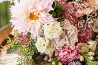 Harmony Harvest Farm - 9