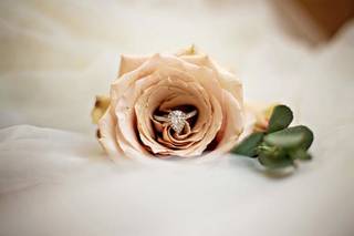 Holly Sue Photography - 18