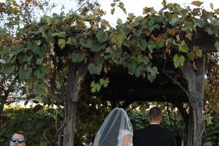 Becker Farms and Vizcarra Vineyards - 26