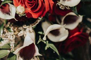 Amore Fiori Flowers and Gifts - 41