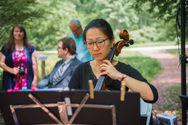 August Strings - 4