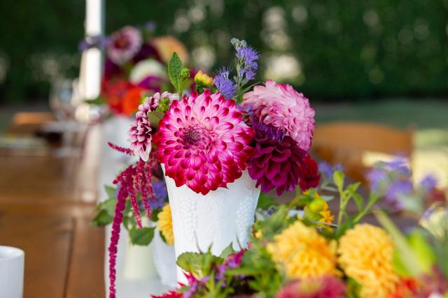 Kate Whitney Lucey Photography - 4