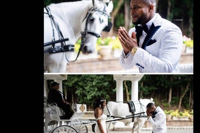 Dream Horse Carriage Company 1