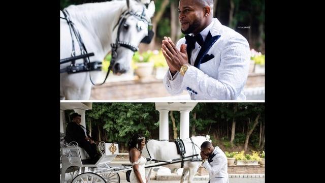 Dream Horse Carriage Company - 3