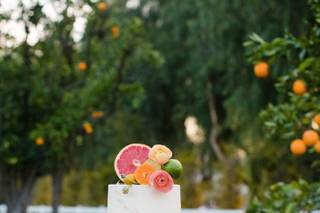 Rancho Guejito Weddings & Events - 37