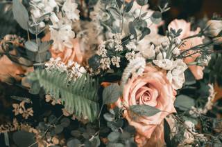 The Poppy and The Peony - 20