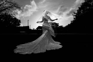 Dipp Photography - 22