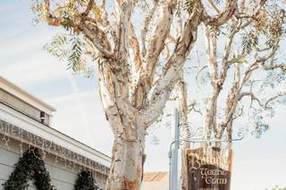 Heartfelt Weddings and Events - 11