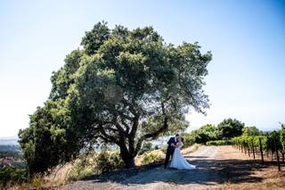 Ken Viale Photography - 9