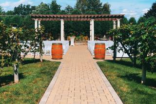 Birch Wood Vineyards by Wedgewood Weddings - 96