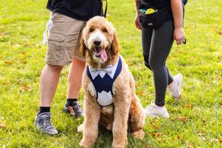 Smile ‘N’ Wag - 13
