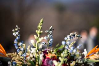 Foxtail Cottage Floral - 5