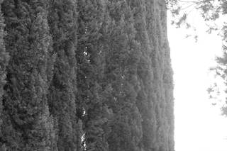 Kelly H Photo - 58