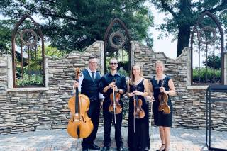 SUMMIT Strings - 62